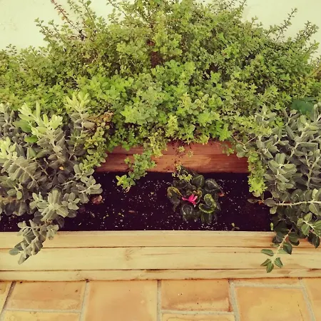 Encantadora Casita En Holiday home Palma de Mallorca